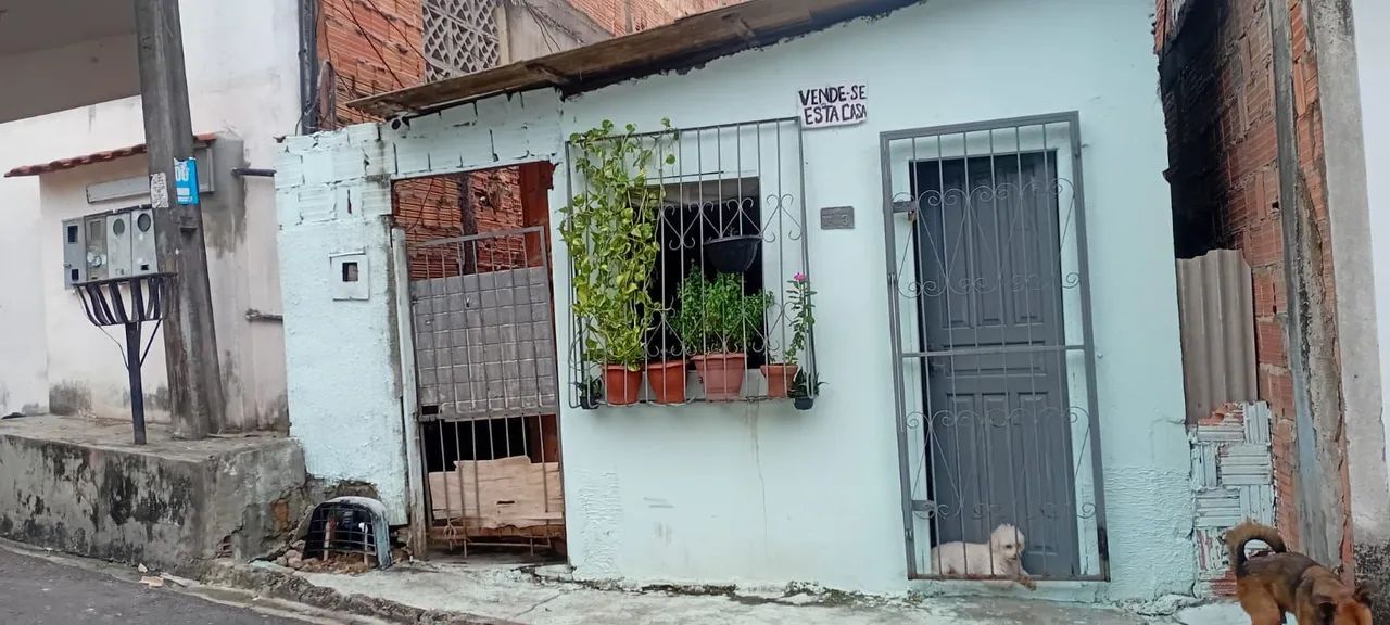 Foto - Manaus - Petrópolis