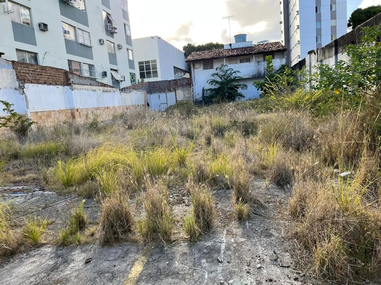 Terreno para aluguel tem 1100 metros quadrados em Madalena - Recife - PE - Foto 5