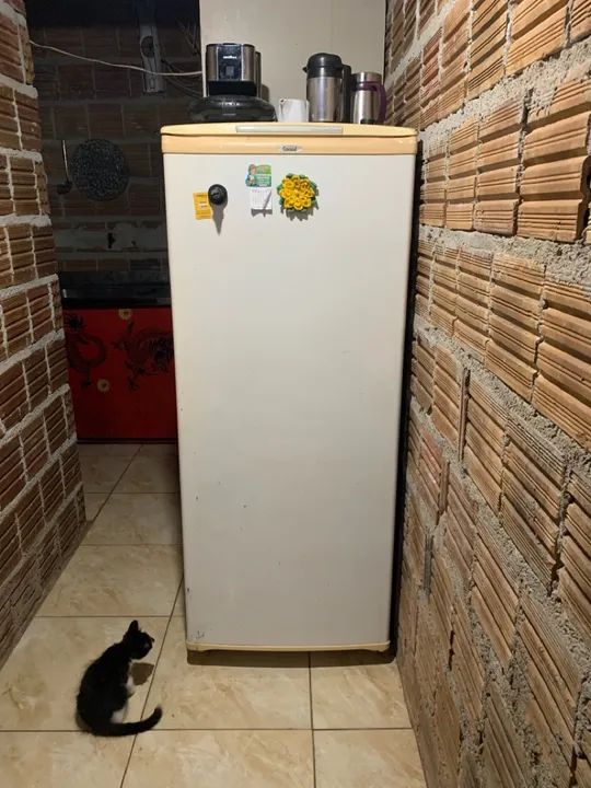 (Disponível) Consul Refrigerador 300 sem defeitos, tá perfeita.