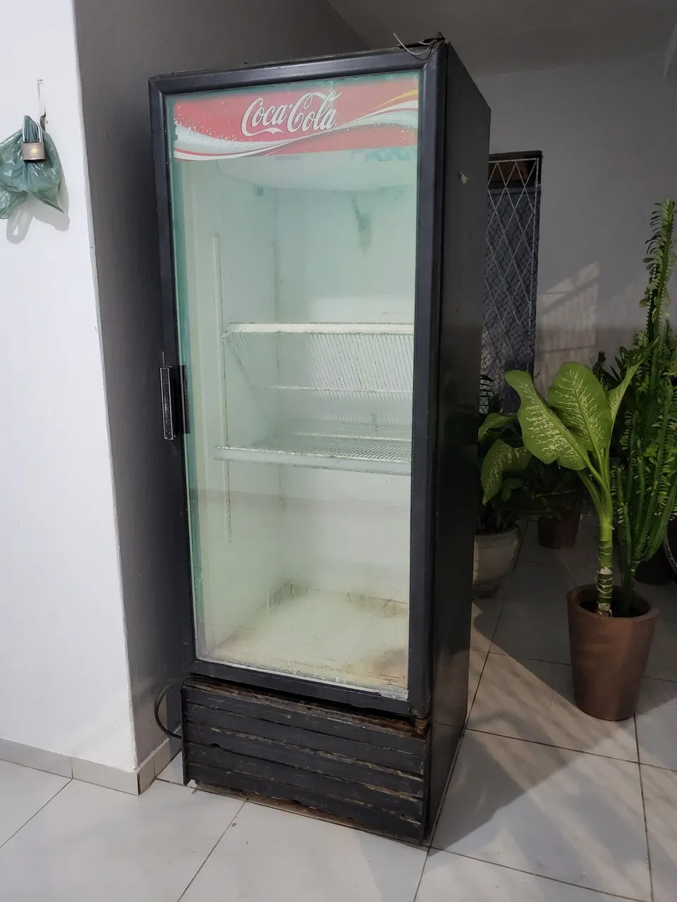 Expositora Freezer