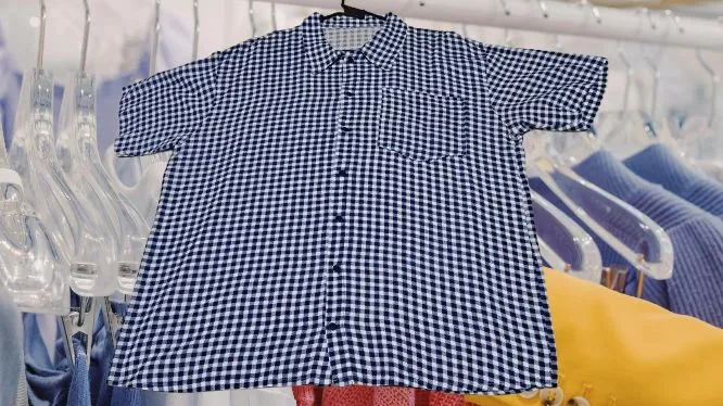 CAMISA QUADRICULADA E CHAPÉU DE PALHA