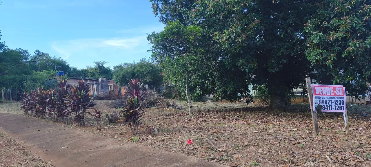 Lote vazio 