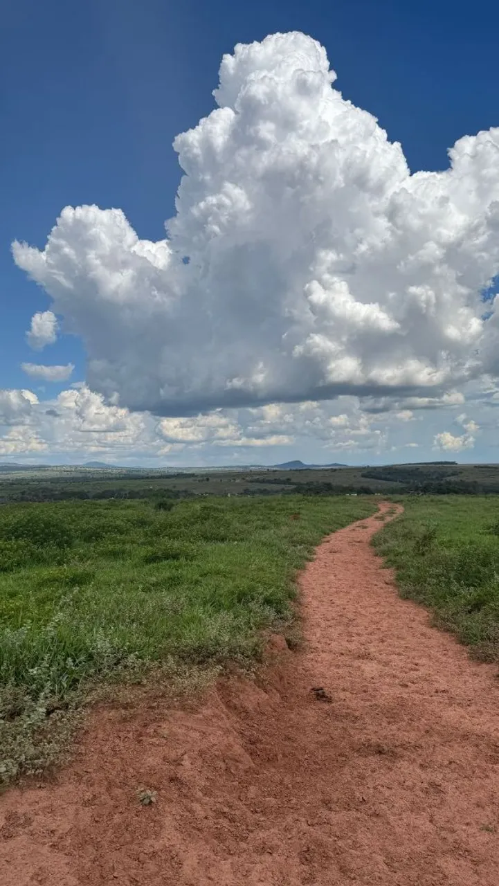 Fazenda arrendamento Goiás, em Doverlândia, 310 alqueires, grade a combinar