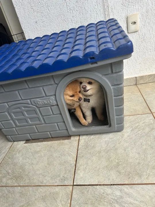 Casinha Pet Cachorro Teto Retrátil Polietileno MOKOI tamanho P - Foto 5