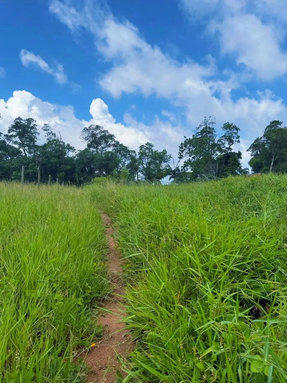 Terrenos em Cotia! 600m² e 500m²