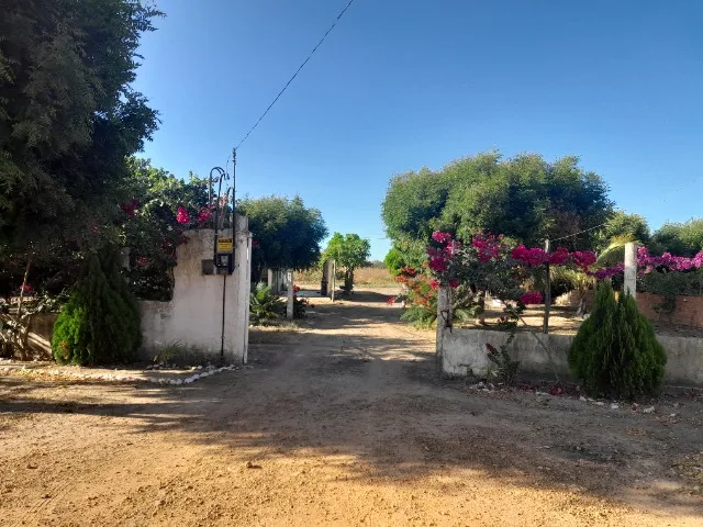 Vende-se uma chácara