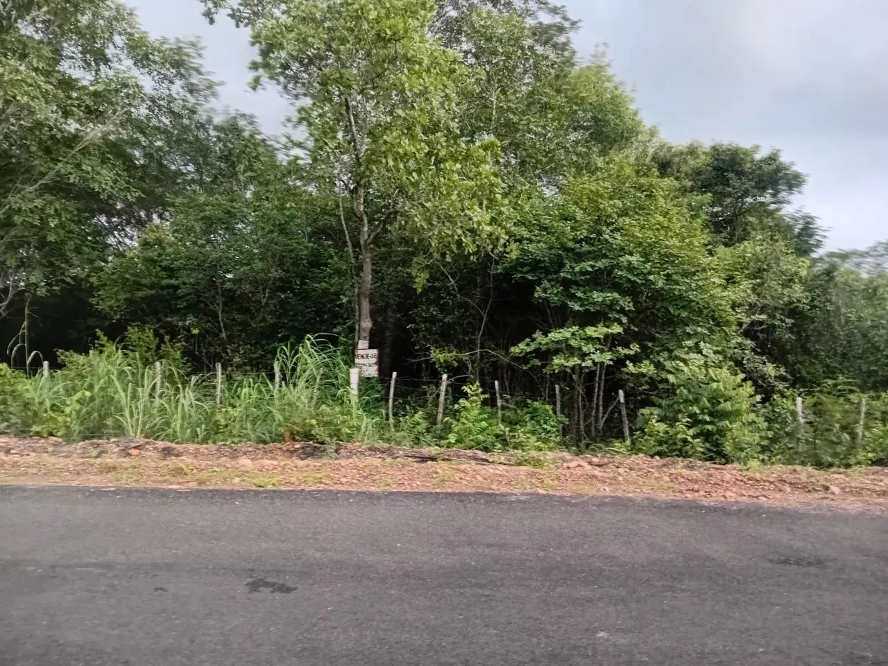 Vendo terreno a 100 metros do Rodoanel da Usina Santana/ Dirceu 