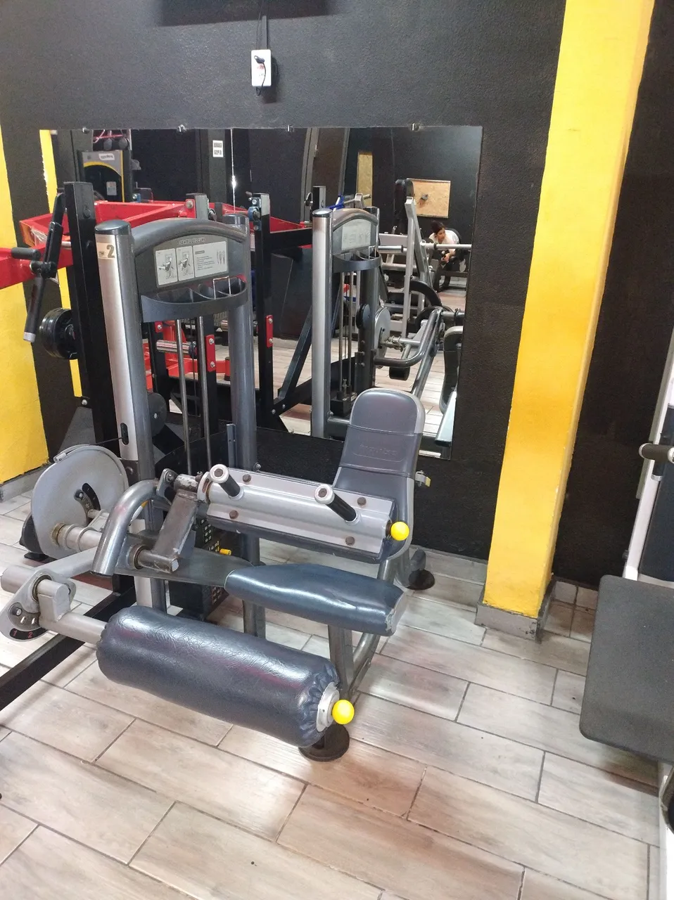 Aparelho de Musculação flexora e extensora