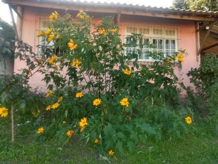 Foto - Araruama - Centro (Iguabinha)