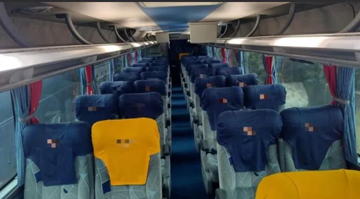 Marcopolo G6 Ld 2010 Transf de divida - Foto 9