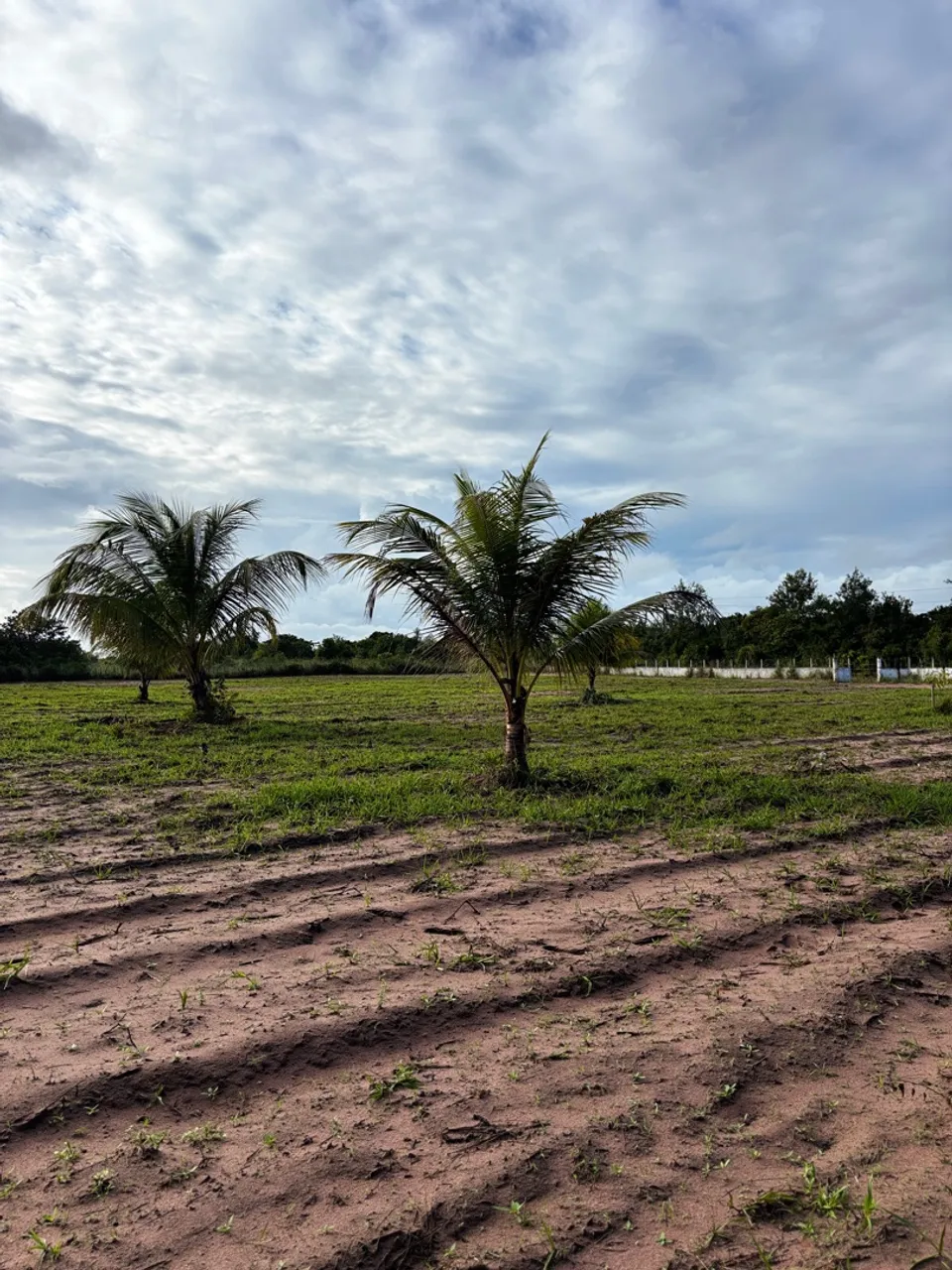 Sítio 2 hectares - Vendo urgente