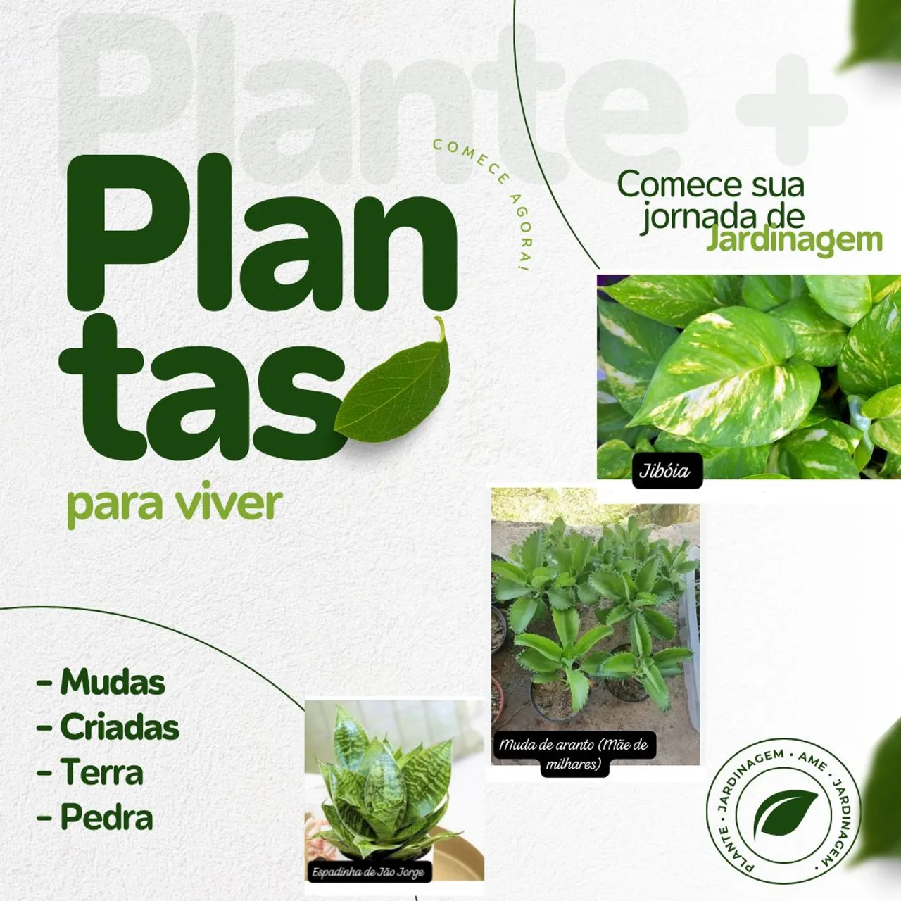 Comece sua jornada de jardinagem agora com nossas mudas e plantas!