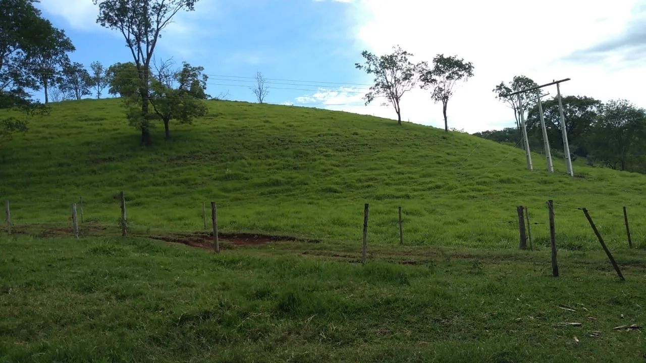 Sítio próximo Uberlândia 25 hectares  - Foto 4