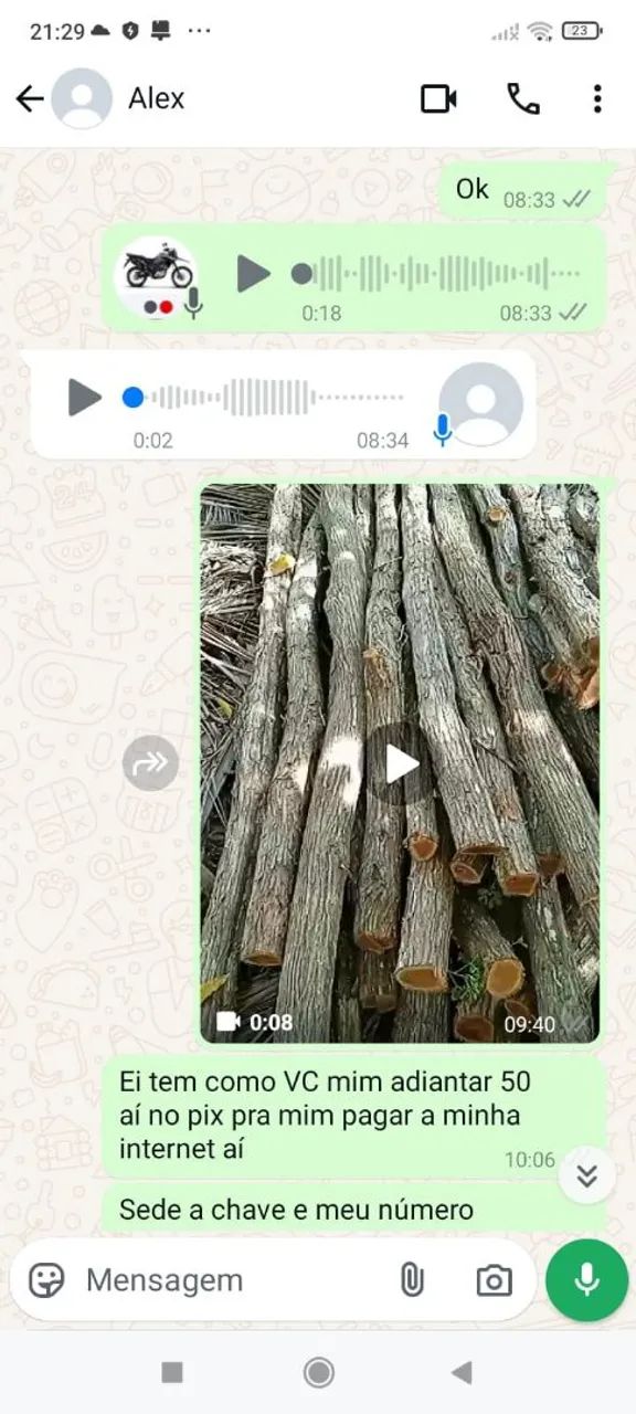 Estaca de sabia  - Foto 2