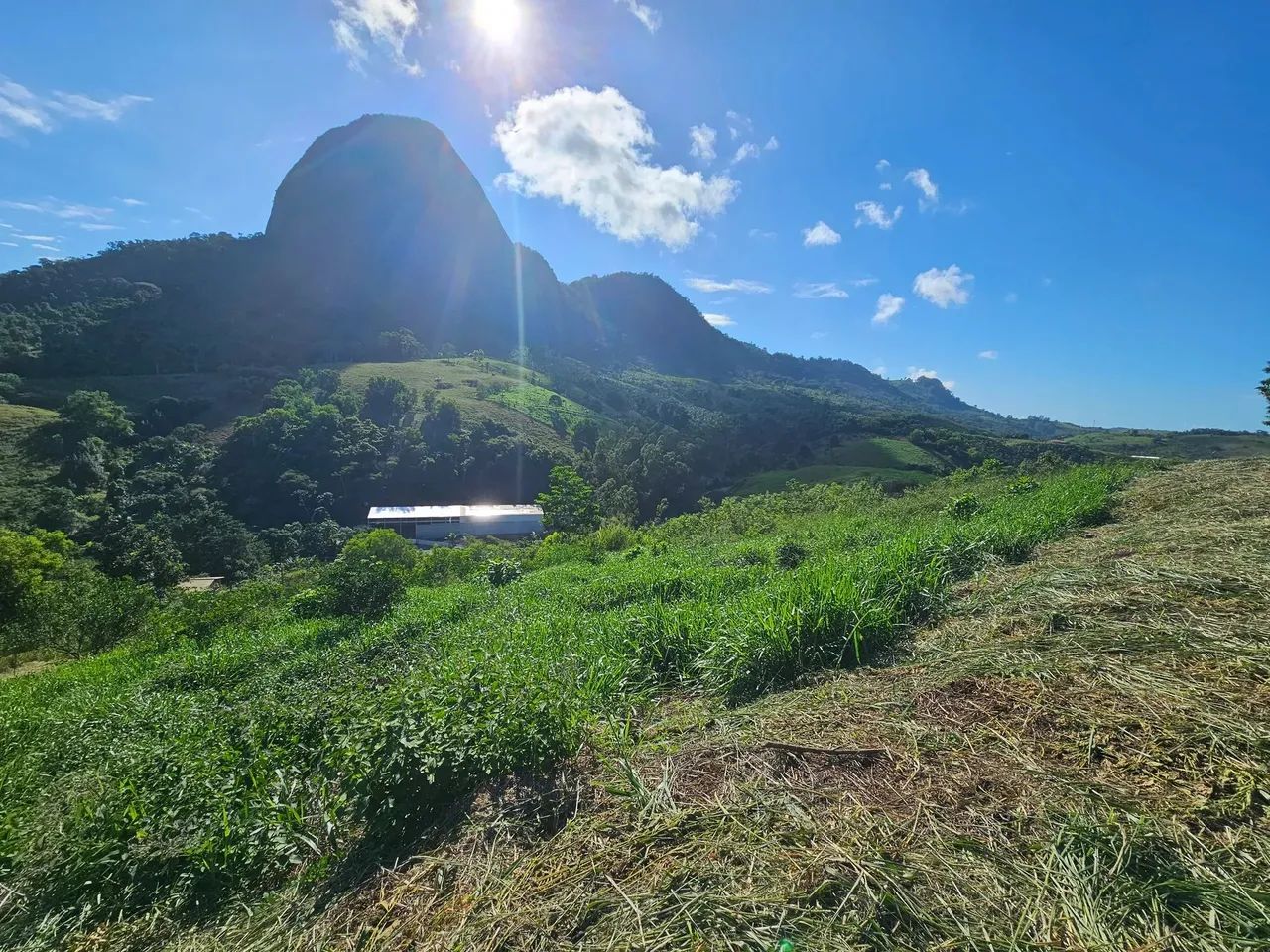 Venda! sítio na rodovia do frade