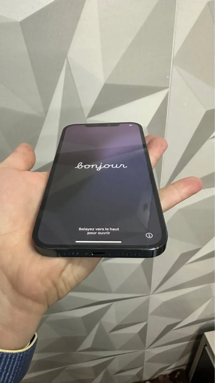 Iphone 12 Pro Max 256GB