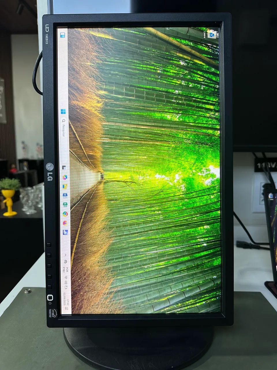 Monitor 19? LG ( Rotação 90 Graus)