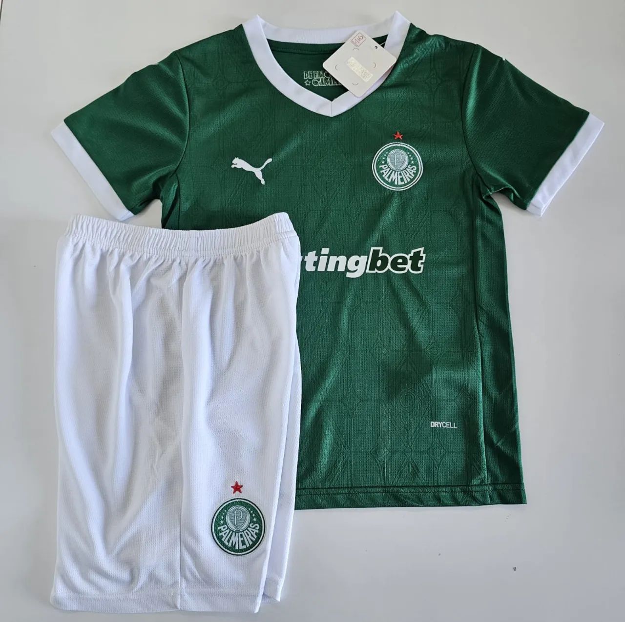 Conjunto Infantil do Palmeiras lançamento 2025 - Pronta entrega 