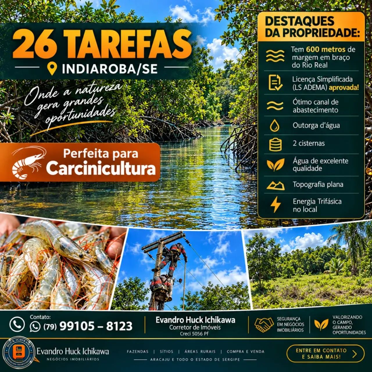 FAZENDA de 26 tarefas - INDIAROBA - Foto 3