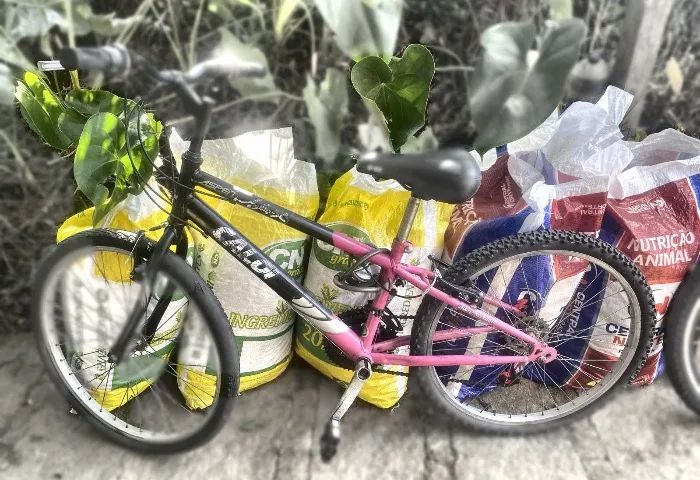 Bicicleta Caloi Aro 24