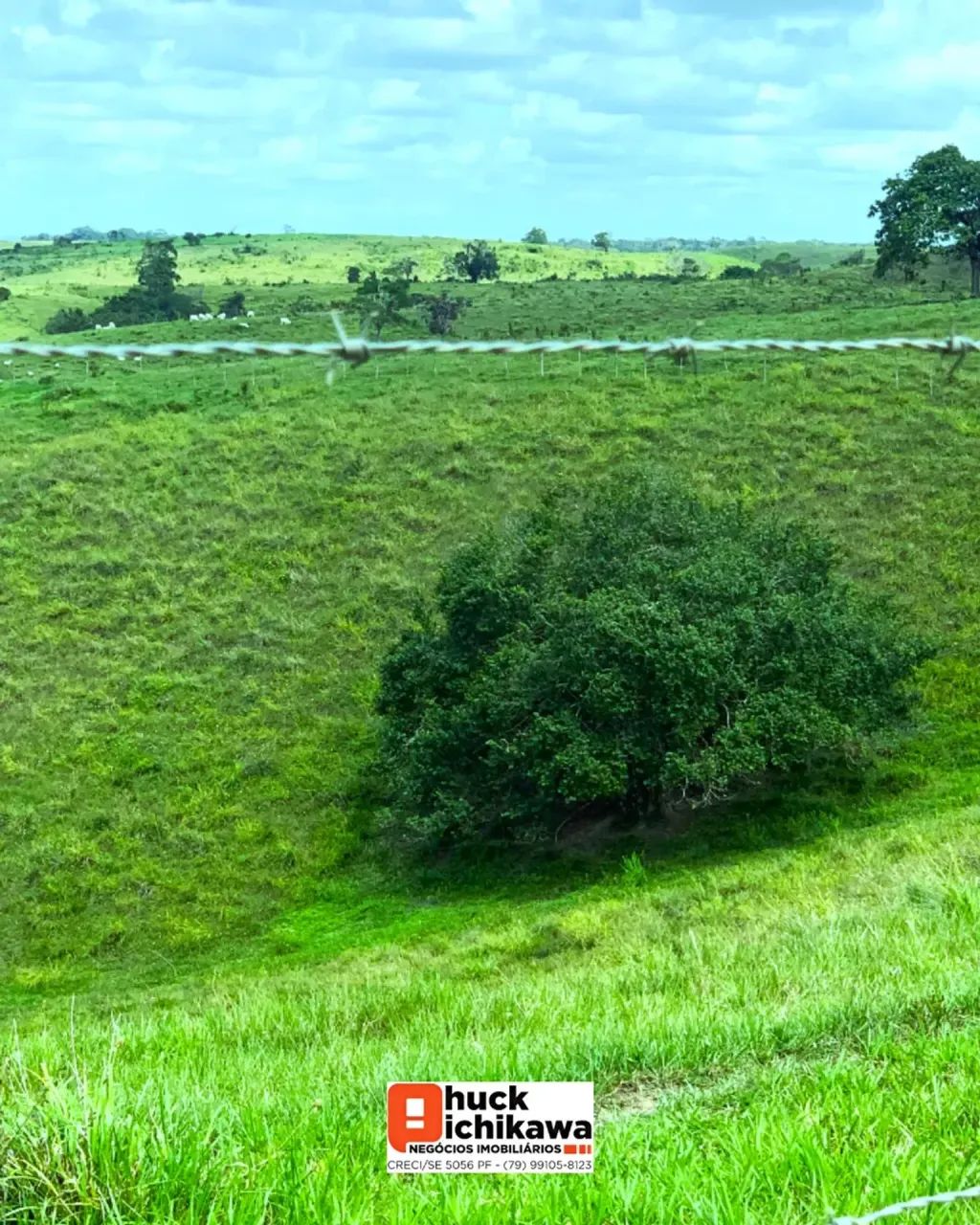 Fazenda de 100 tarefas  Boquim / Salgado - Foto 3