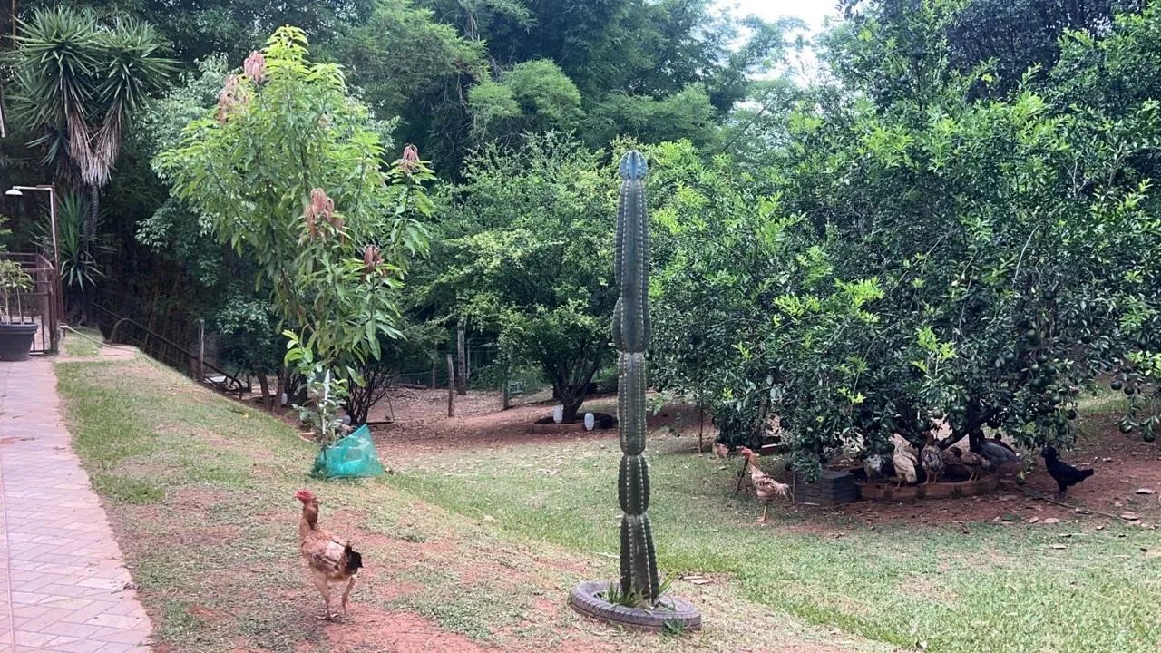 VENDE SE CHÁCARA A 5 km DE SENADOR CANEDO - Foto 3