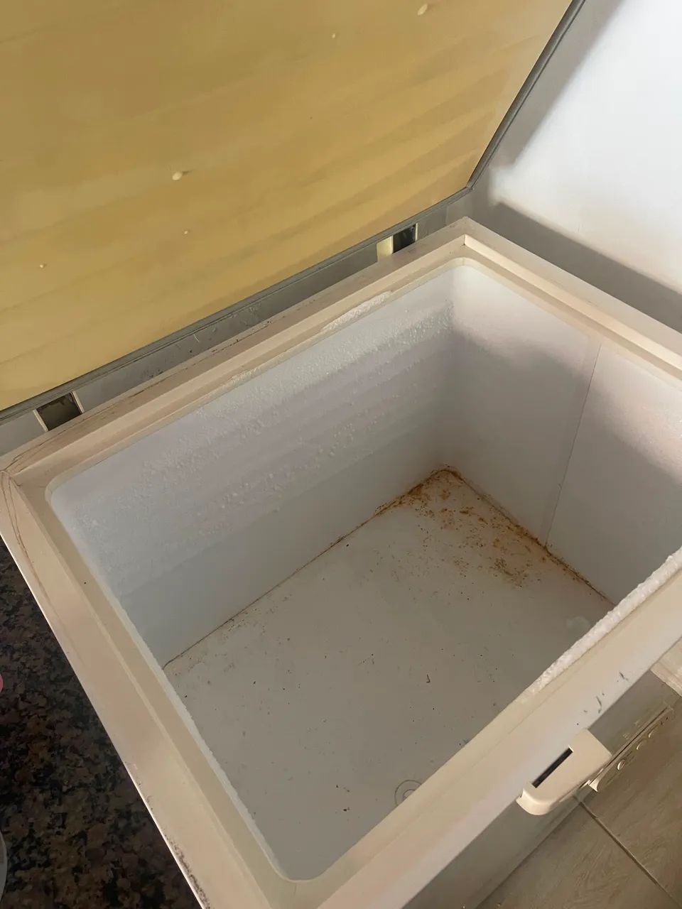 Freezer Electrolux  - Foto 3