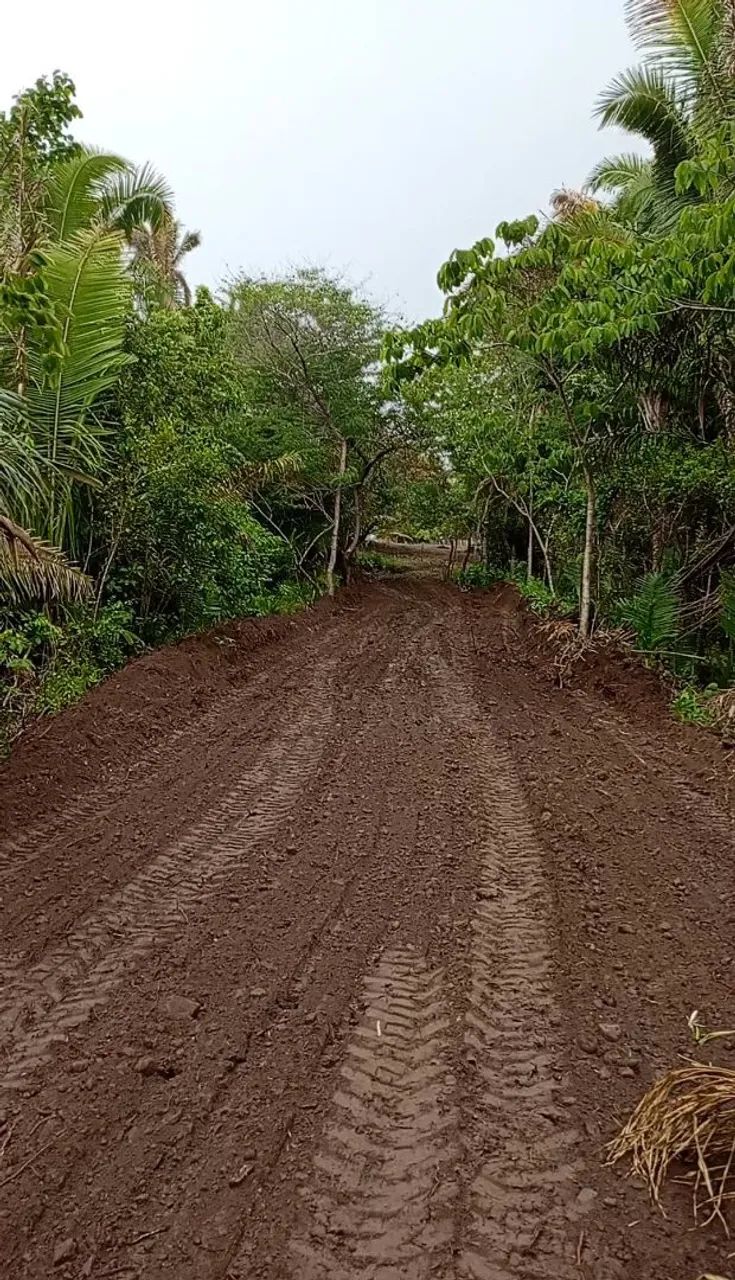 LOTES RURAIS PARCELADOS - Foto 2
