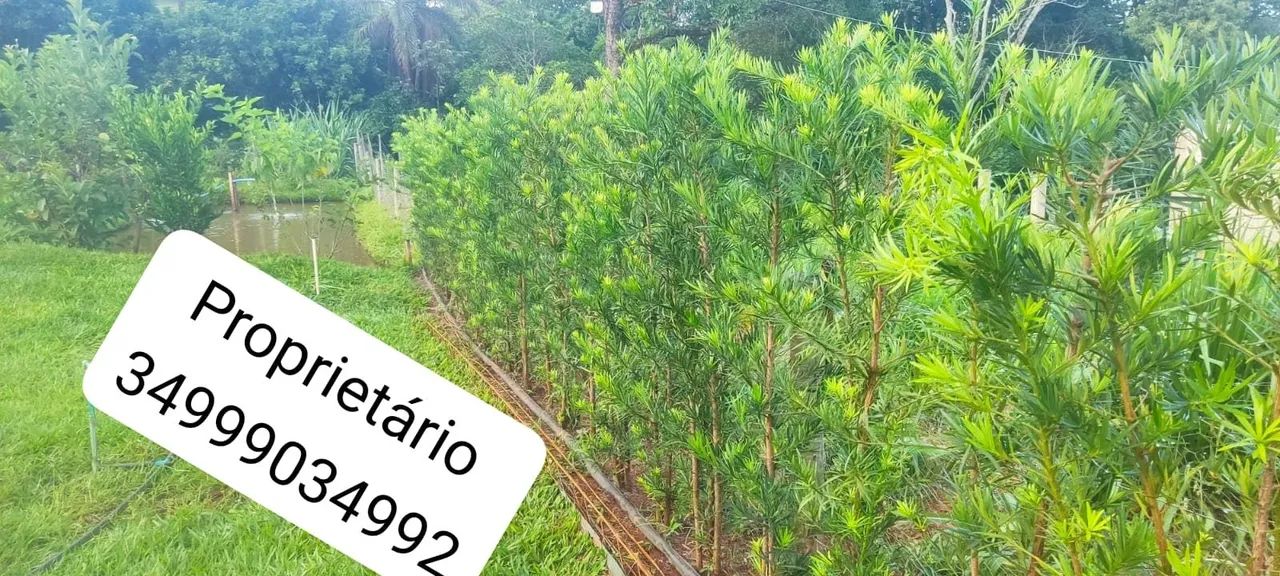 Chácara top troco em carro - Foto 2
