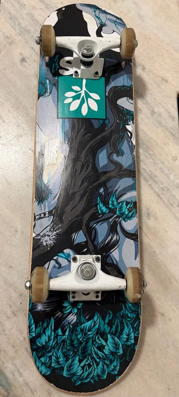 Skate progress
