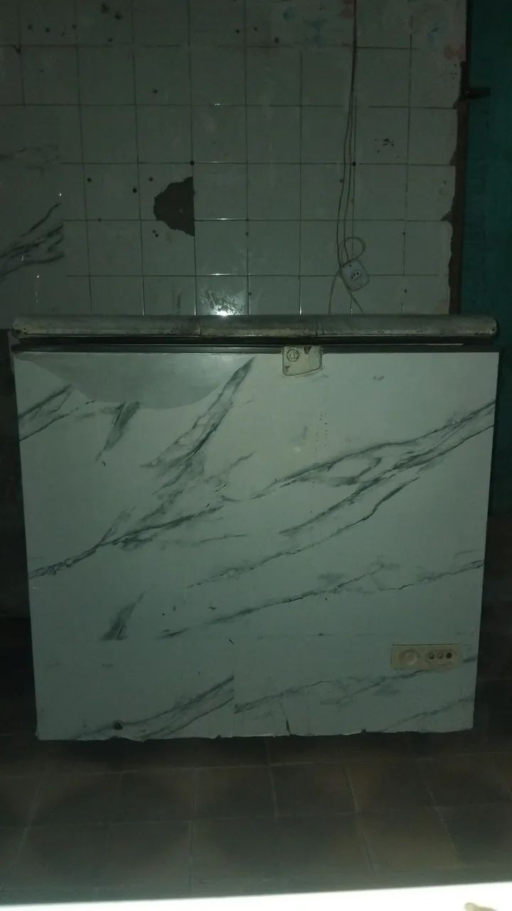 Freezer Electrolux 
