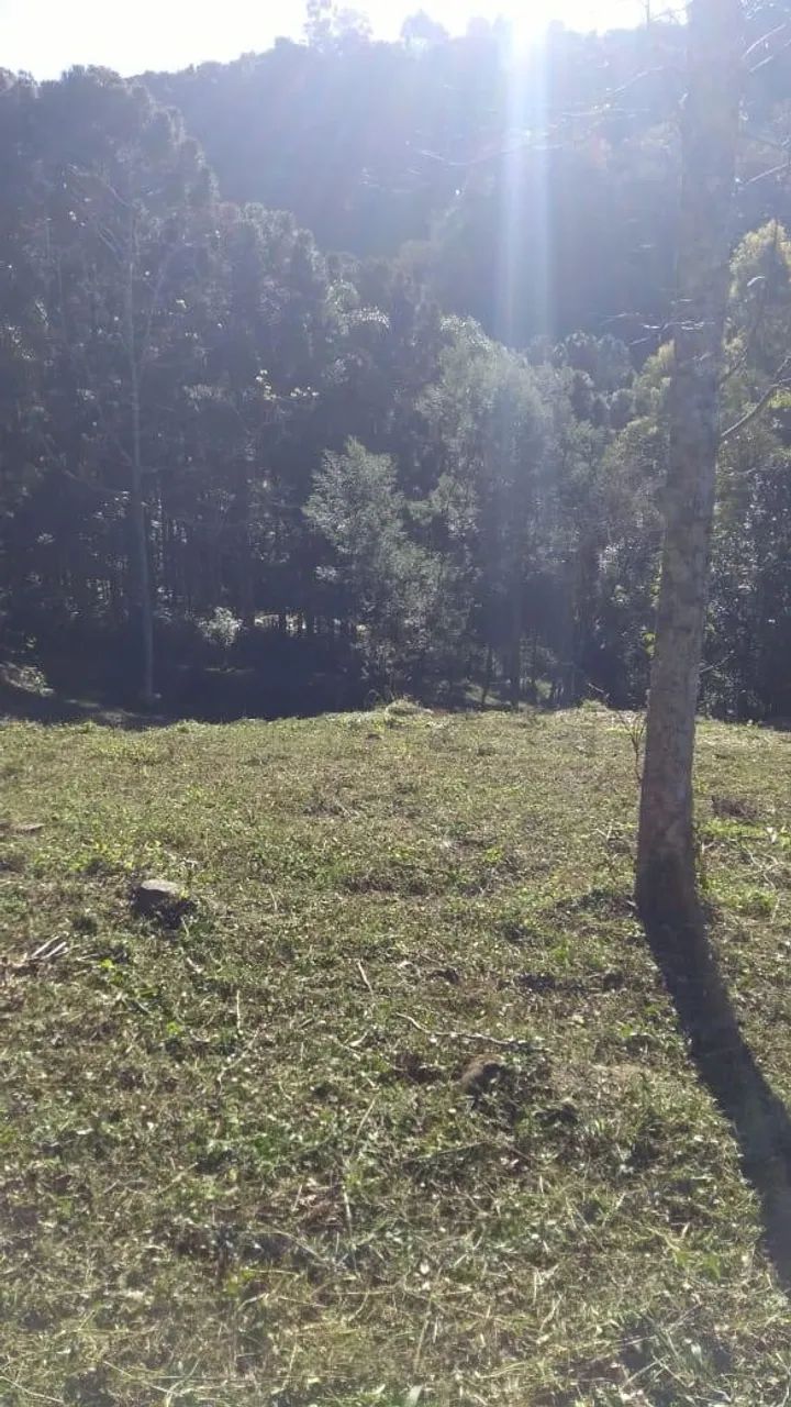 Chácara Galópolis Caxias do Sul - Foto 3