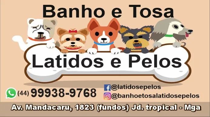 Banho e Tosa ?