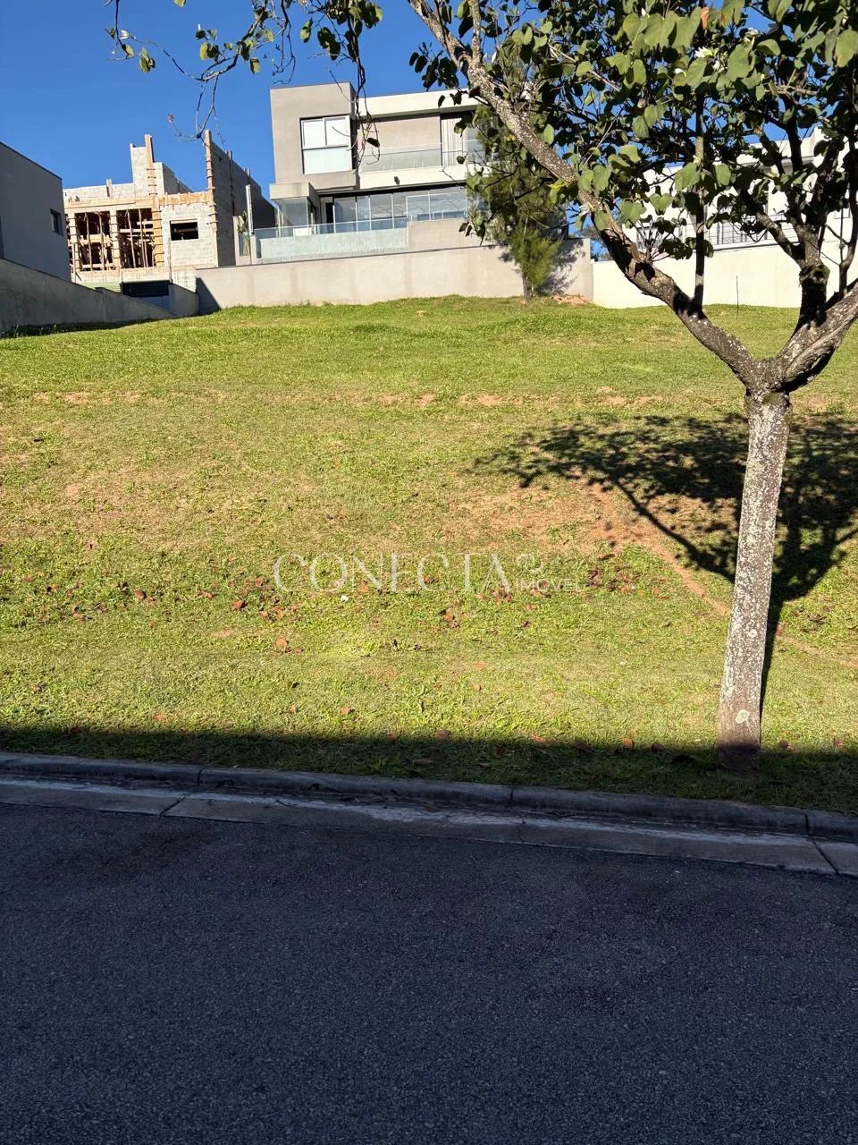 Burle Marx - Foto 4