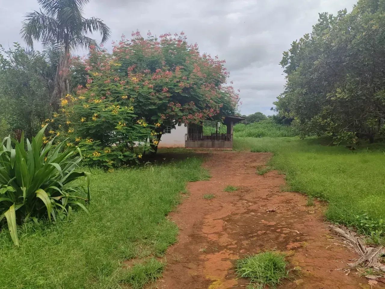 Chácara Itaguari Goiás - Foto 4