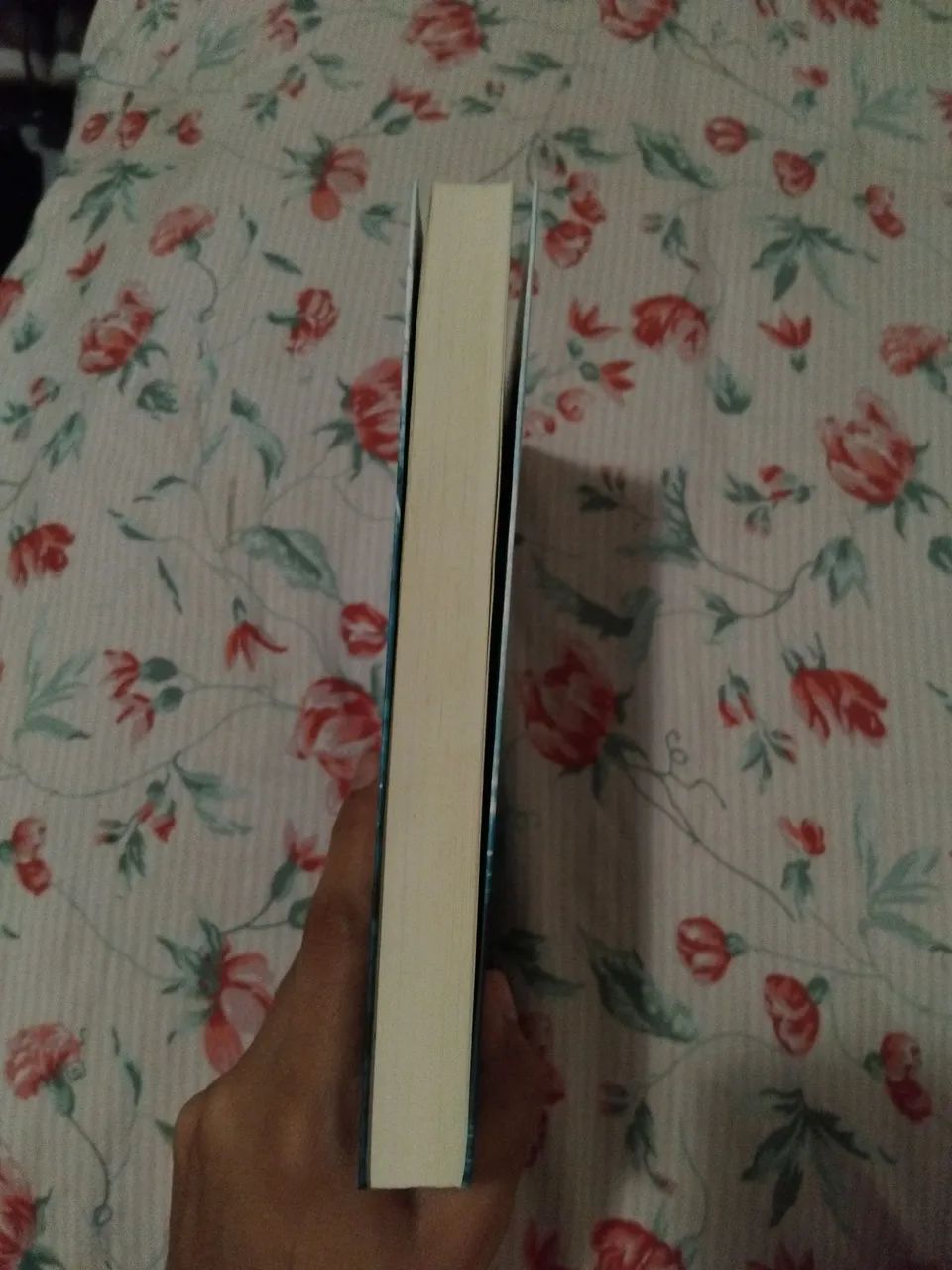 Livro - A seleção - Foto 3