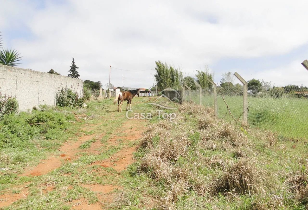 Terreno à venda Cinto Verde - Uvaranas - Foto 3