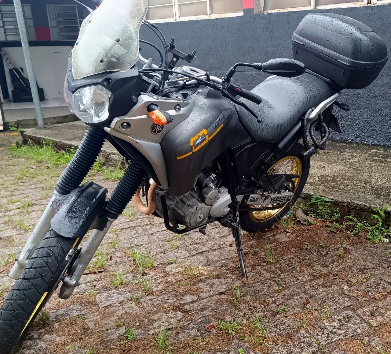Ténéré 250 2016 blueflex  - Foto 2
