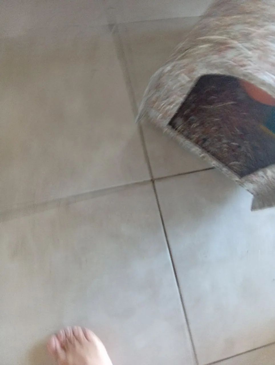 Casinha de cachorro - Foto 2