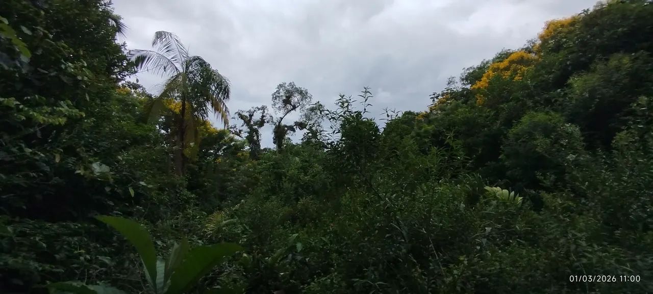 Lotes a Venda em Morretes - Foto 5