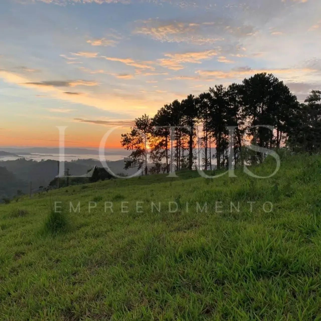 82T-LOTE 600M IGARATÁ, PERTO DO MORRO AZUL - Foto 5