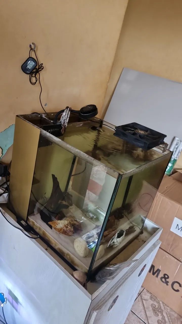 Aquário