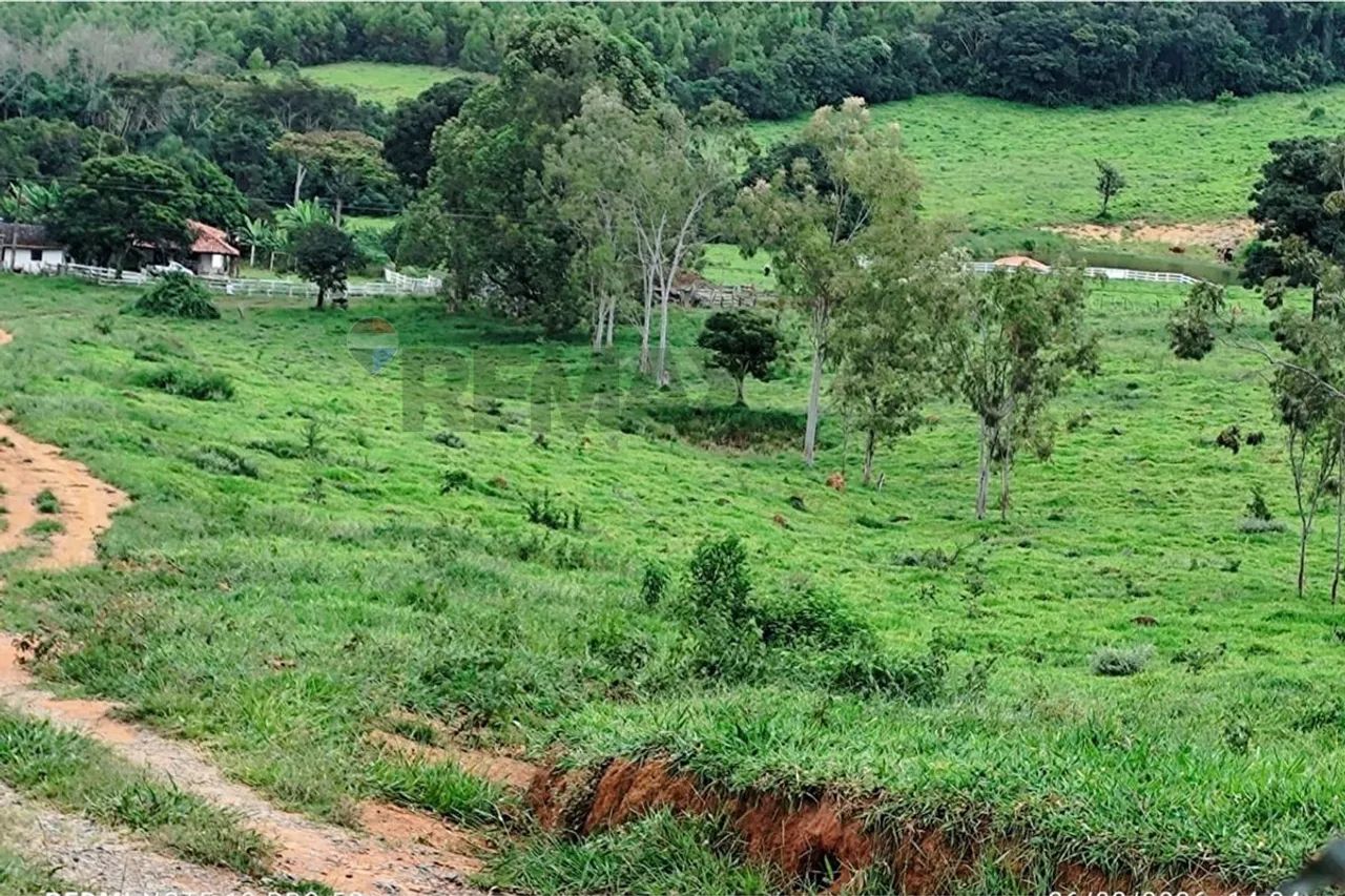 Fazenda dos Sonhos em MG: Propriedade à Venda!