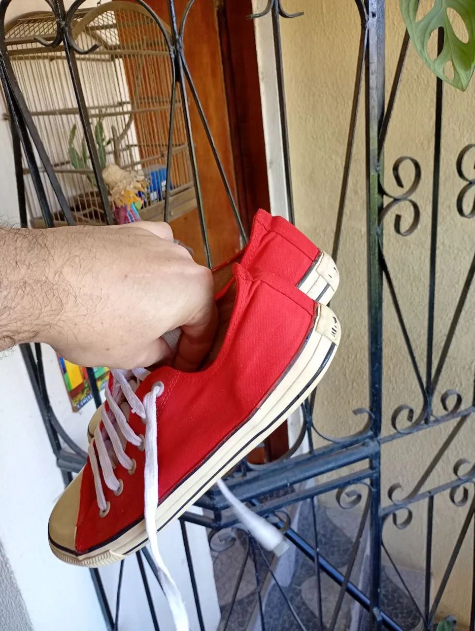All star - Foto 4