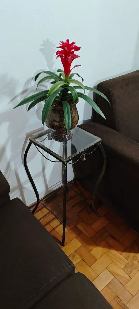 Mesa Lateral de Vidro com Vaso de Bromélia Artificial - Foto 4