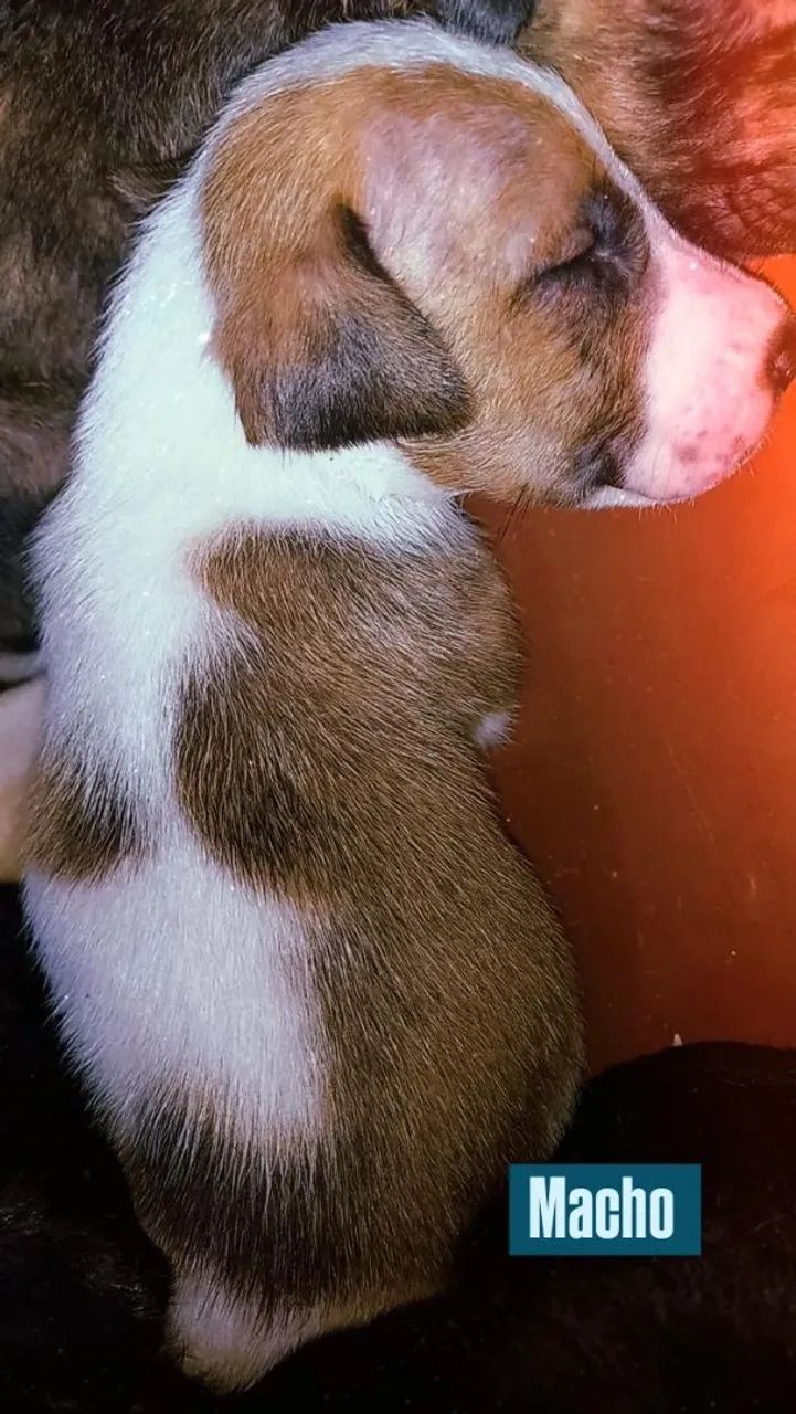 Doação  - Foto 4