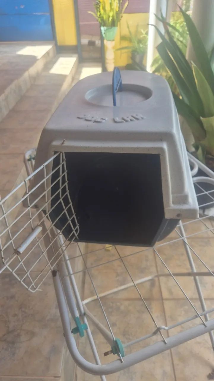 Caixa de transporte Dog Lar