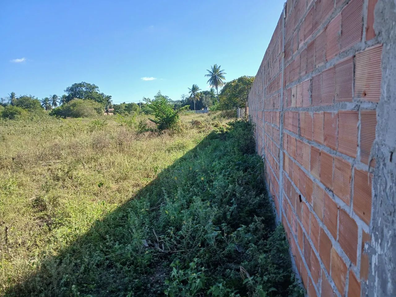Vendo ou troco Terreno - Foto 5