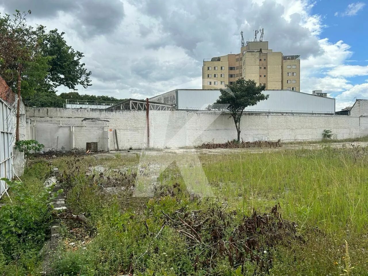 Terreno na Vila Guilherme com 1600 m² - Foto 5