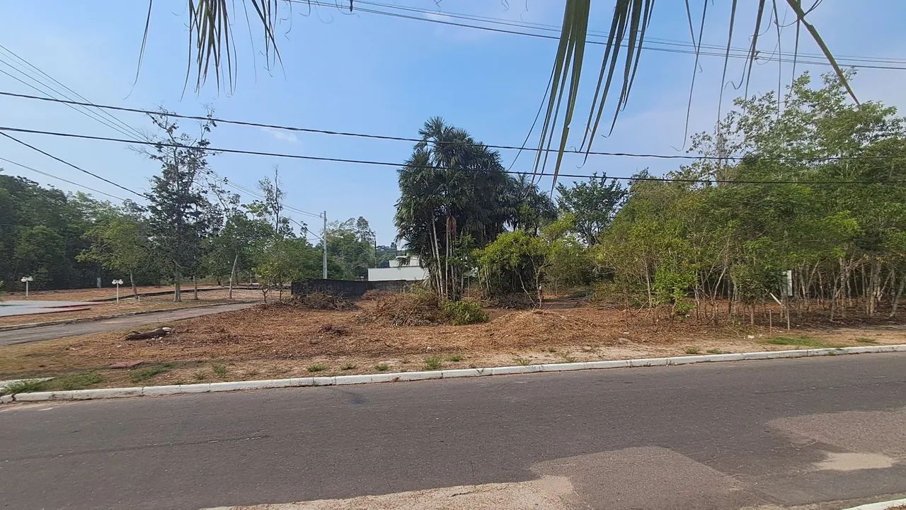 Serviços de roçador  - Foto 3